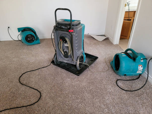 Best 24/7 water damage repair  in Surf City, NJ