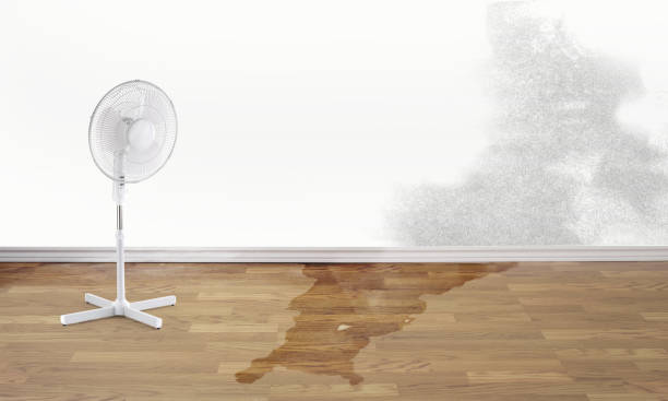 Best Water damage contractors near me  in Surf City, NJ