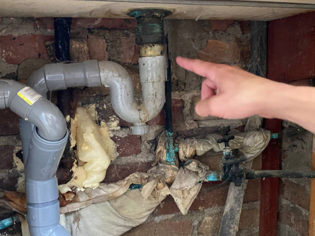 Best Sewage cleanup and water damage restoration  in Surf City, NJ